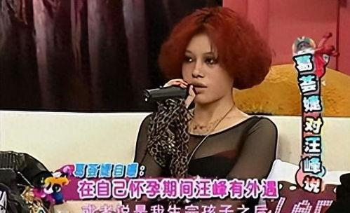 章子怡离婚爆料真相视频,揭秘背后惊人内幕 第2张 章子怡离婚爆料真相视频,揭秘背后惊人内幕 第2张